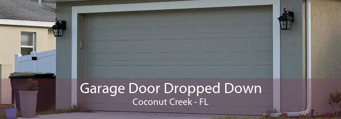 Garage Door Dropped Down Coconut Creek - FL