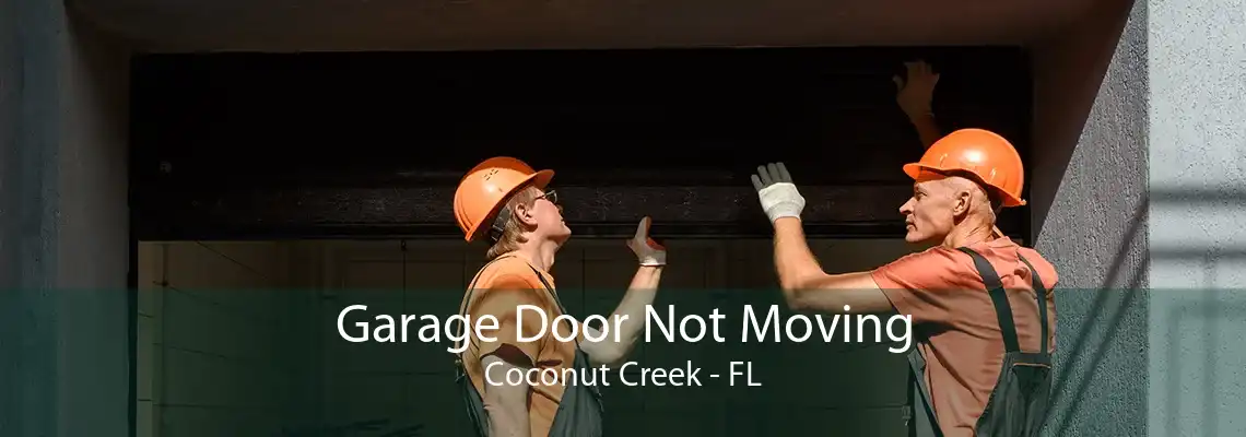 Garage Door Not Moving Coconut Creek - FL